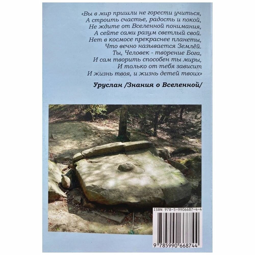 Семья-космическая единица. Кн. 2 - фото №8