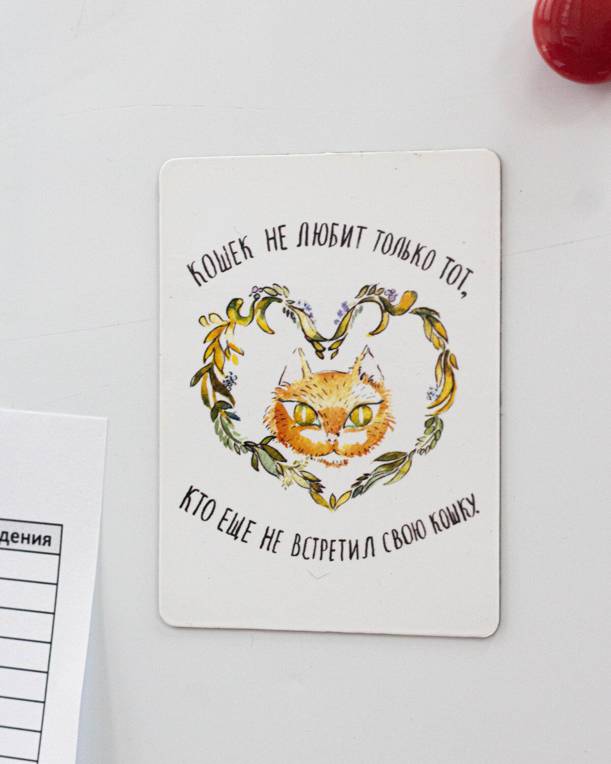 Магнит РЭЙ - Фонд помощи бездомным животным "Кошки" — фото 1