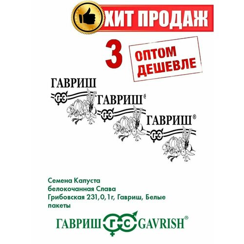 Капуста белокочанная Слава Грибовская 231, 0,1г. Б/п(3уп) семена капуста слава грибовская 231 б к б п 0 5 гр среднеспелая