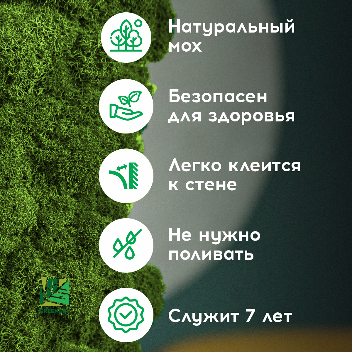Greenery Moss / Панель из мха Ягель №8 Самоклеящаяся 50х80 см - 1 шт. Для декора и украшения стен — фото 1