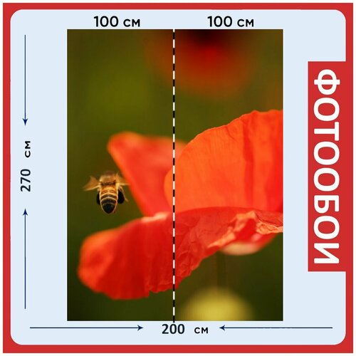 Фотообои Медовый цветок красный мак склоняюсь к 200x270 см флизелиновыена стену 2960₽