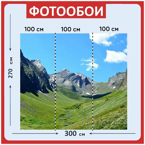Фотообои Небо синий дерево 300x270 см флизелиновыена стену 3980₽