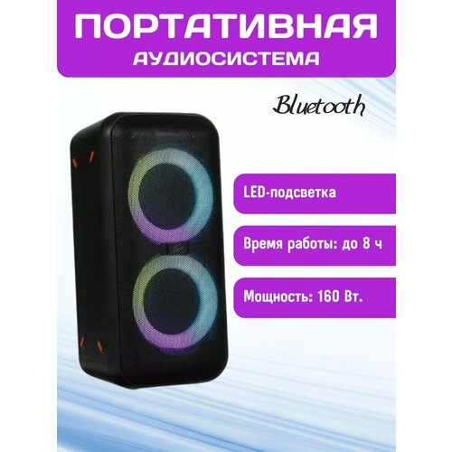 Портативная аудиосистема 150 FR900 черный 1800000₽