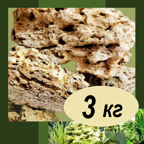 Камни для аквариума крупные 3 кг ракушечник , грунт окаменелости, декоративный натуральный