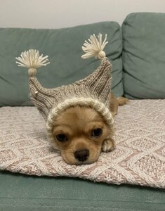 Основная фотография от вендора