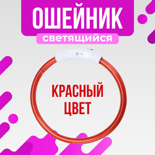 Светящийся ошейник для собак 50см красный, Светодиодный LED ошейник для собак, Дрессировка, Поводок