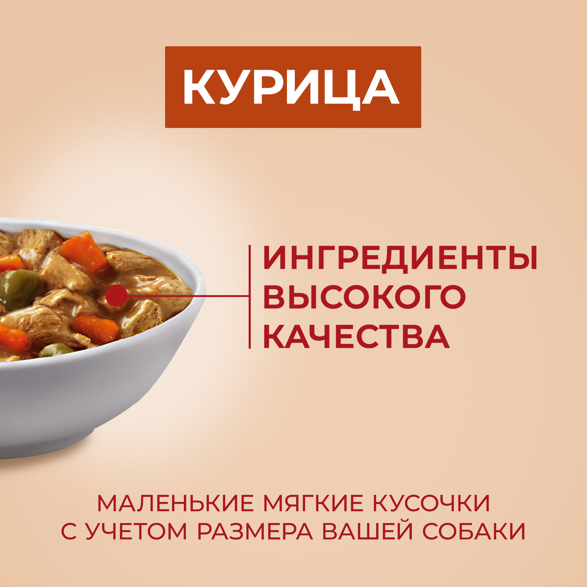 Purina ONE Мини 85 г пауч влажный корм для активных собак с курицей, морковью и зеленой фасолью в подливе х26 штук — фото 1