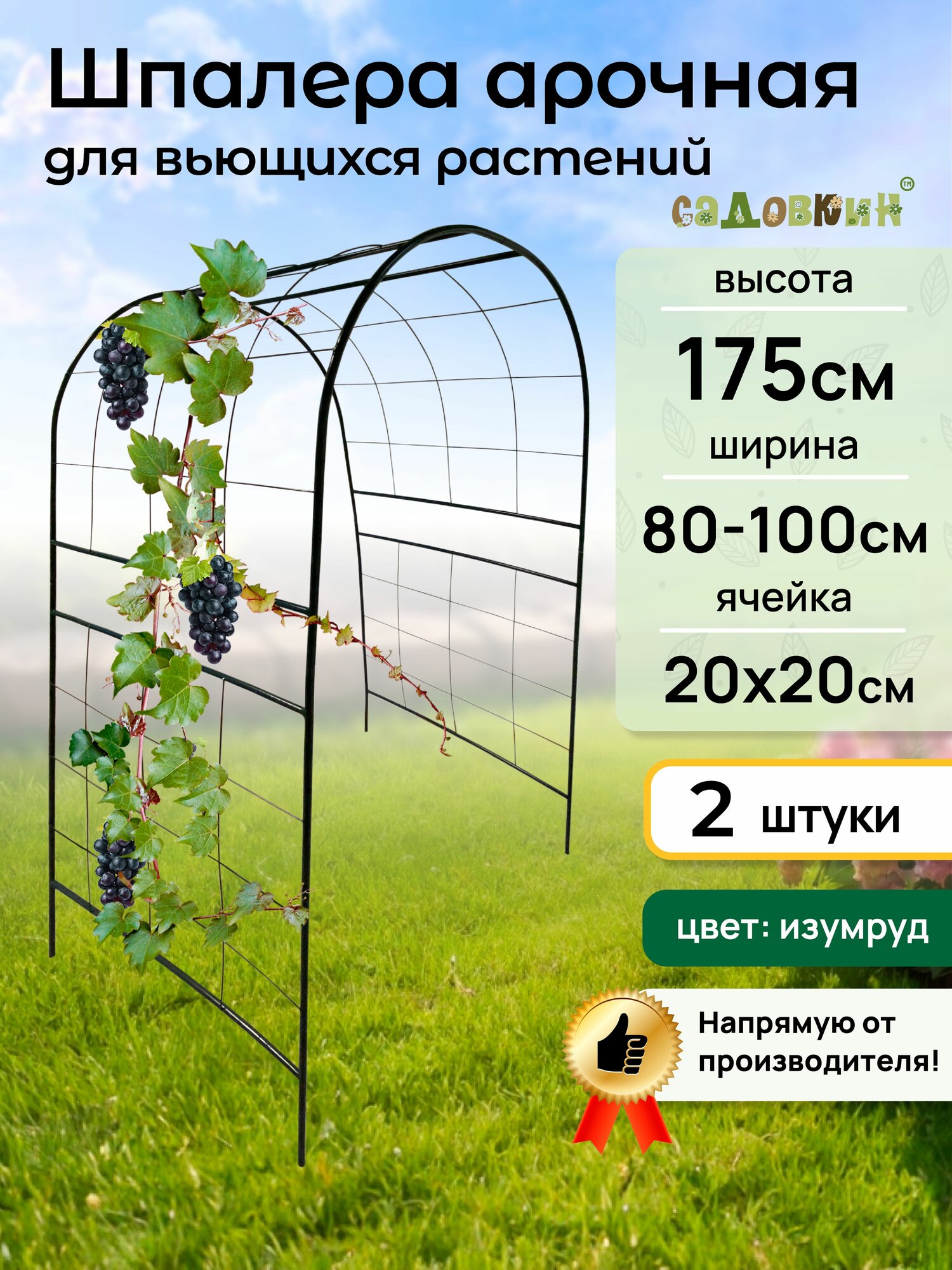 Шпалера "Арочная" зеленая, ячейка 200х200, шпалера садовая, для вьющихся растений (2 шт)