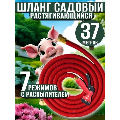 Шланг растягивающийся 1108₽