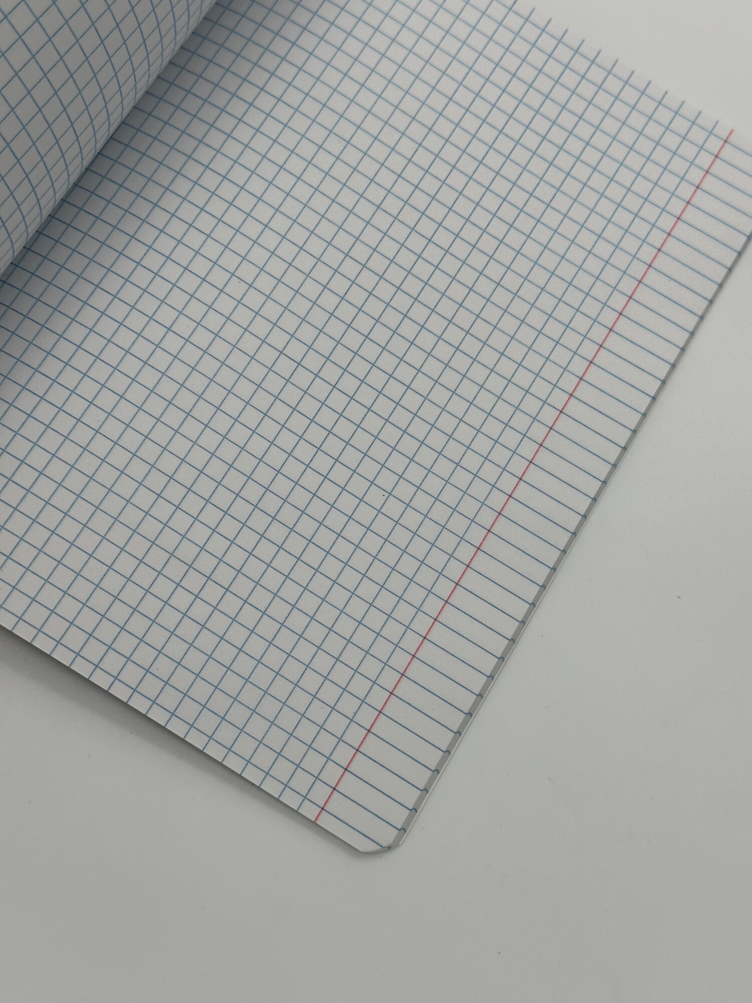 Тетрадь A5 в клетку 48 листов – “Notebook” с восточным силуэтом — фото 1