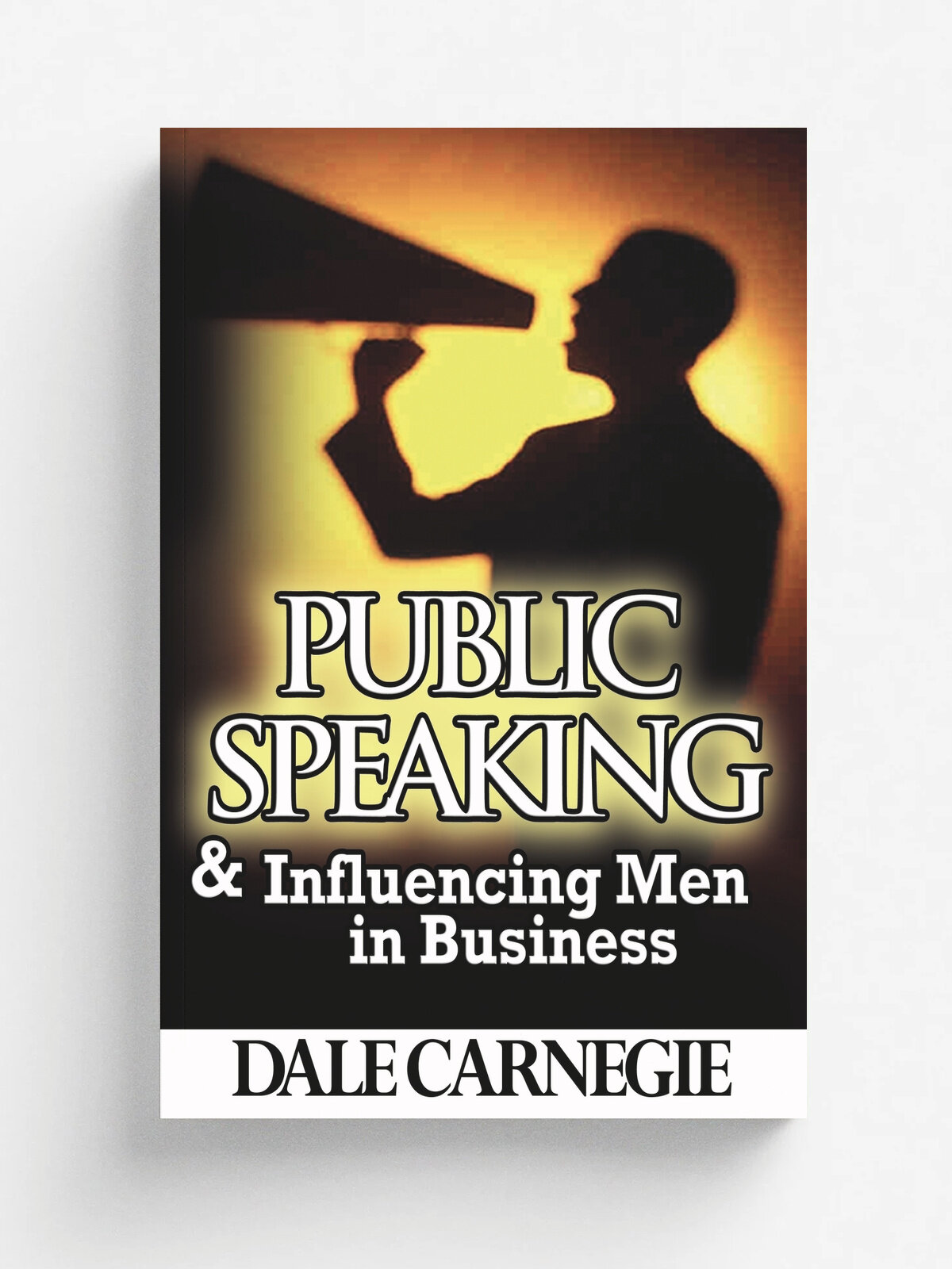 Public Speaking & Influencing Men In Business