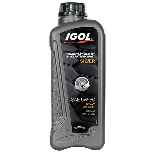 Масло моторное IGOL PROCESS SILVER 5W-30 (1L)