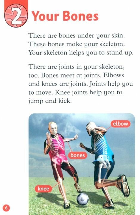 Oxford Read and Discover. Level 2. Your Body - фото №2