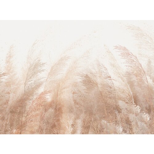 Моющиеся виниловые фотообои GrandPiK Трава на ветру фон сепия, 350х260 см