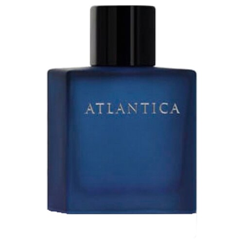 Dilis Parfum туалетная вода Atlantica Odyssey, 100 мл, 360 г