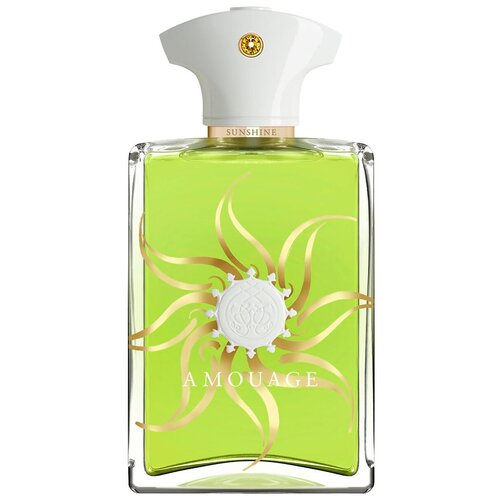 Amouage парфюмерная вода Sunshine Man, 100 мл, 200 г amouage парфюмерная вода sunshine woman 100 мл 100 г