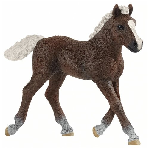 Фигурка Schleich Шварцвальдский жеребенок 13899, 7.5 см