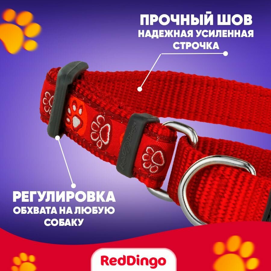 Mартингейл ошейник для собак Red Dingo красный Plain - фотография № 5