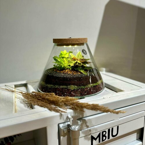 Флорариум Neopure с подсветкой - 