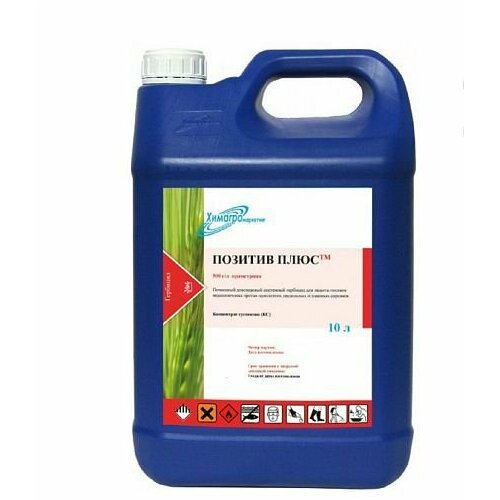 Позитив Плюс