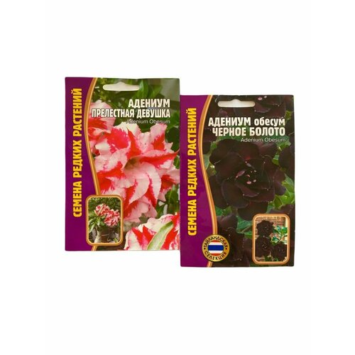 Семена цветов адениума Черное болото + Прелестная девушка редкие растения адениум черное болото 3 семян в упаковке