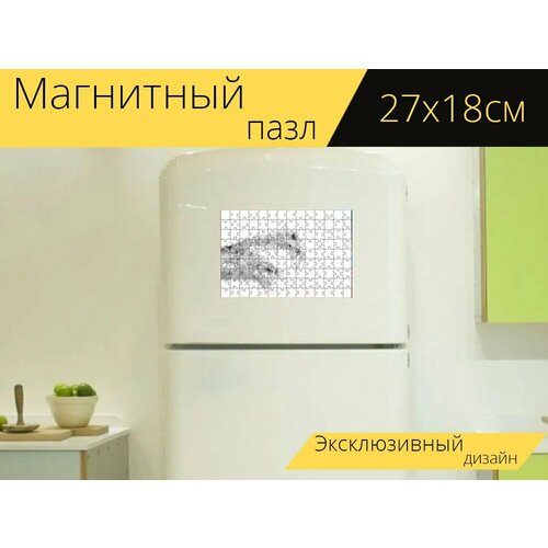 Магнитный пазл Макрос, природа, зима на холодильник 27 x 18 см. магнитный пазл одуванчик природа макрос на холодильник 27 x 18 см