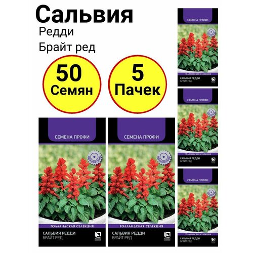 Сальвия редди Брайт ред 10 семян, Поиск - 5 пачек эвкалипт цитрус лимонный 5шт комн 100см поиск 10 пачек семян