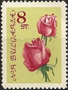 (1962-035) Марка Болгария "Роза (Розовый, салатовый)" Розы I Θ