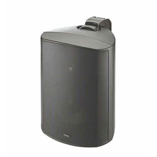 Focal 100 OD6-T Black 3990000₽