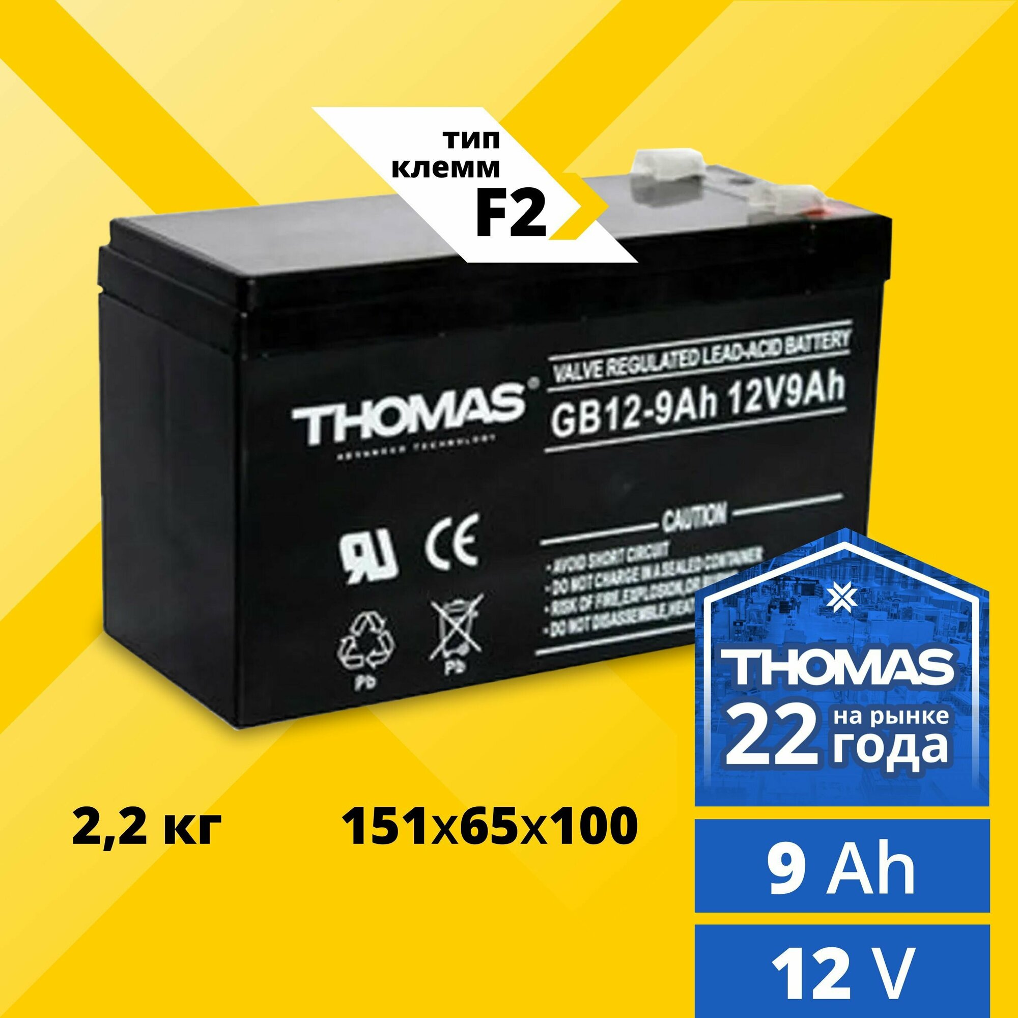 Аккумулятор для ибп 12v 9Ah Thomas F2/T2 акб для детского электромобиля эхолота насоса инвалидной коляски кассы