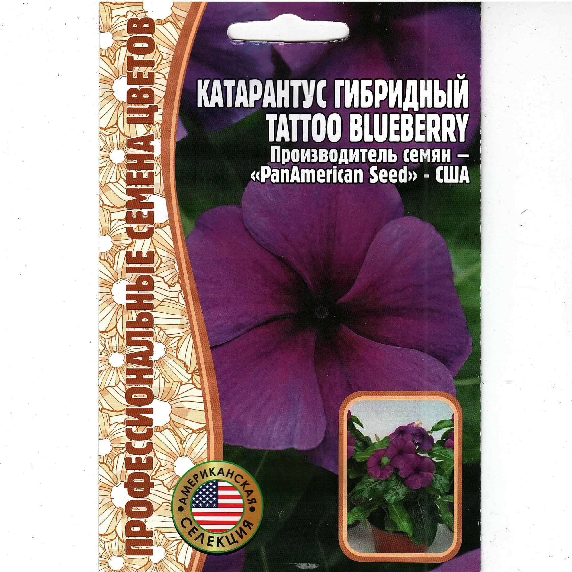 Катарантус гибридный Tattoo blueberry ( 1 уп: 5 семян )