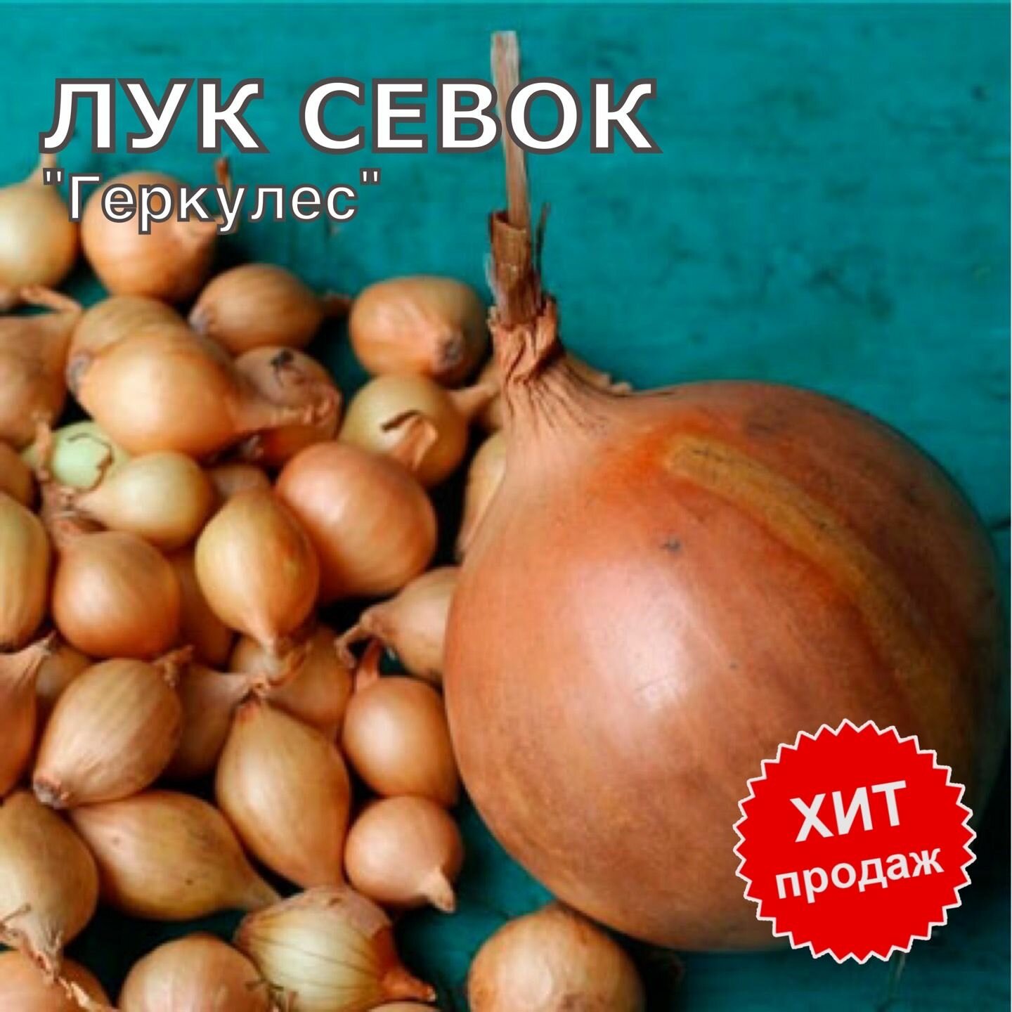 Лук севок на посадку Геркулес 1кг