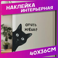 Наклейка на холодильник интерьерная Приколы Кот