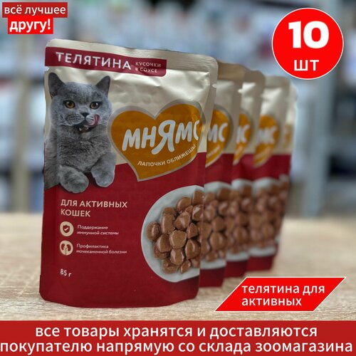 Влажный корм Мнямс Кусочки в соусе для активных кошек, с телятиной, 85г х 10шт