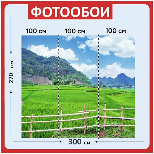Фотообои Рис зеленый облако 300x270 см флизелиновыена стену 3960₽