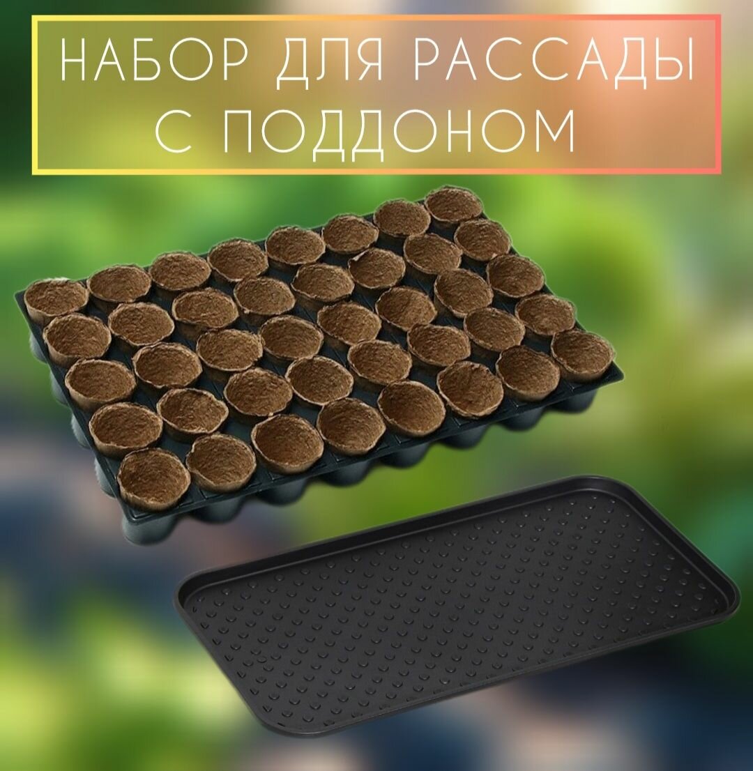 Набор для рассады с поддоном