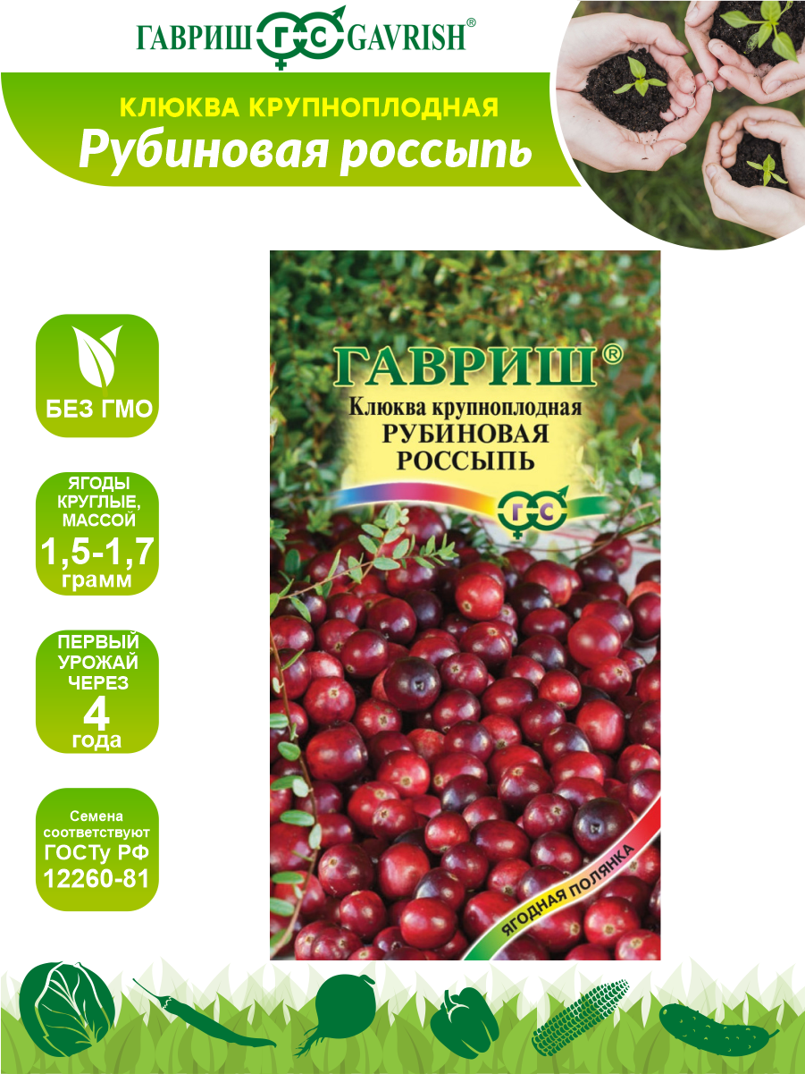 Семена Клюква крупноплодная Рубиновая россыпь 30 шт.