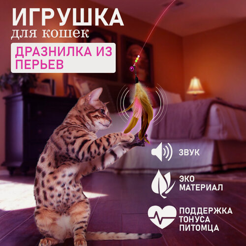 Изображение товара Игрушка-палочка для кошек, дразнилка из перьев, с колокольчиками и бусами