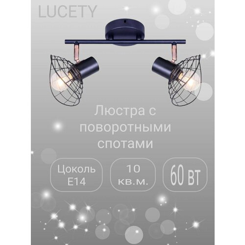 Люстра на потолок светильник потолочный поворотный , 2 плафона (86631-чер)