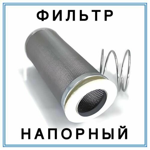 Фильтр напорный с пружиной 60 мкм для ТРК Топаз Шельф 720₽