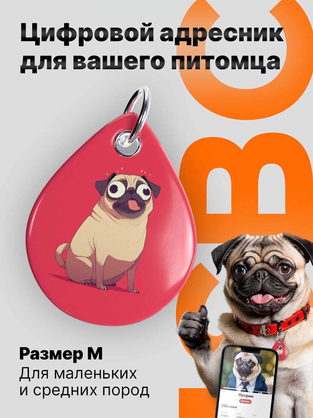 Цифровой Адресник для собак породы мопс от ISBC с NFC и QR-кодом