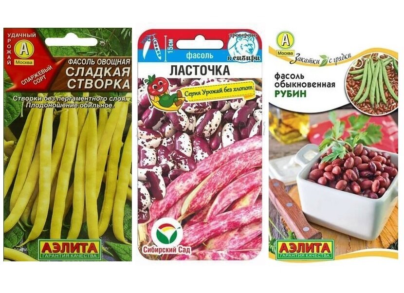 Набор семян фасоли Музыкальные нотки (Фасоль Рубин, Ласточка, Сладкая створка)