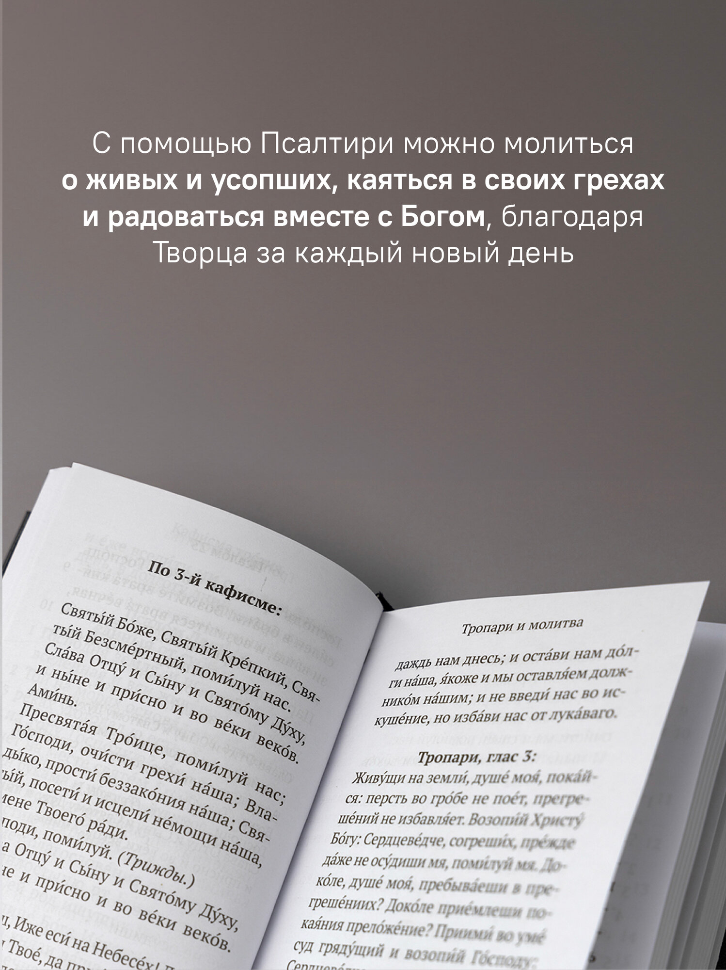 Книга Никея "Псалтирь", Серебряная Серия, Подарочное издание, 416 страниц, 2025 г. — фото 1