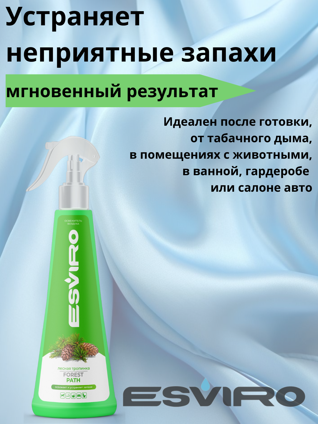 Освежитель воздуха ESVIRO, спрей, 250 мл- лесная тропинка — фото 1