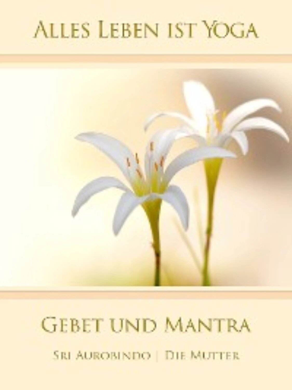 Gebet und Mantra [Цифровая книга]