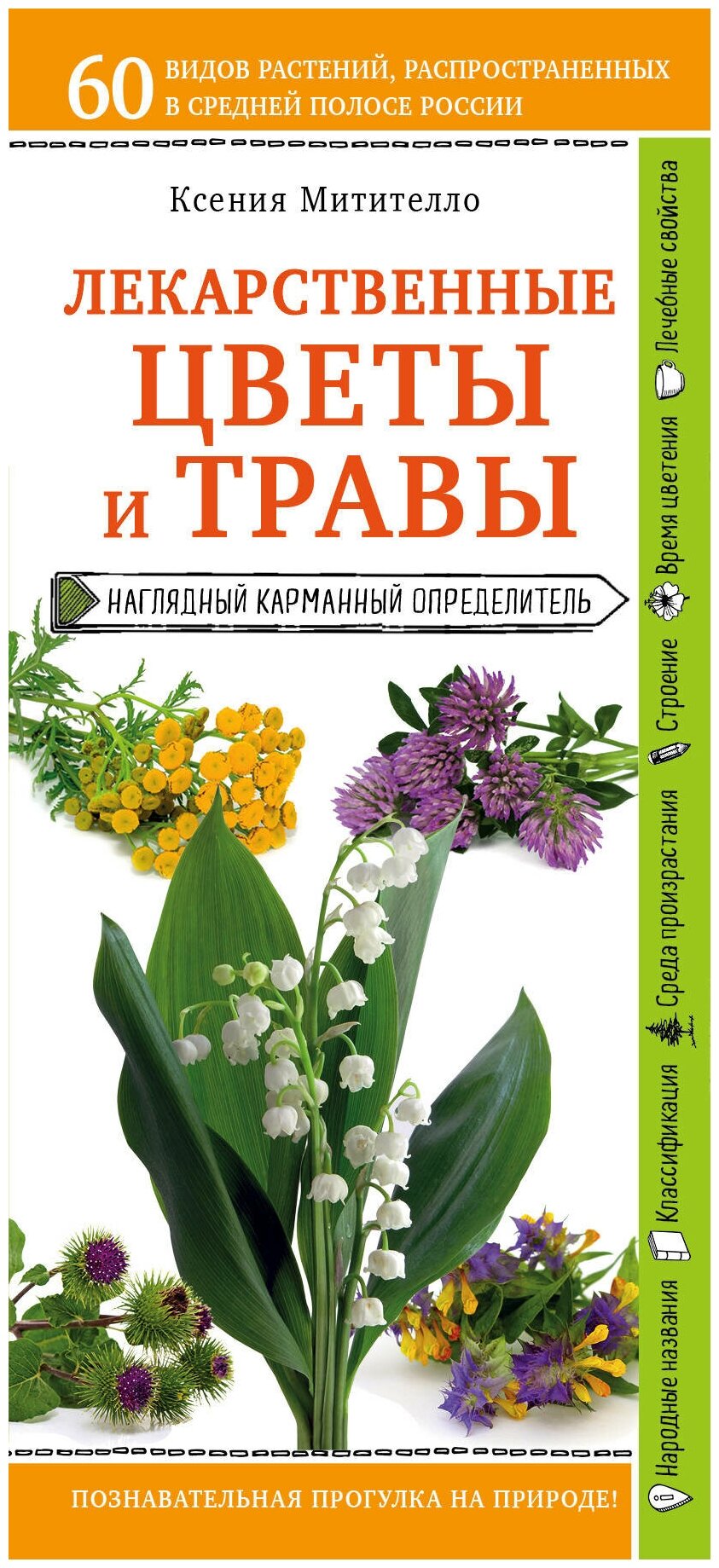 Митителло К.Б. "Лекарственные цветы и травы. Наглядный карманный определитель"
