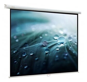 Viewscreen Проекционный экран Viewscreen WLO-1102 Lotus (1:1) 153x153 (147x147) MW Рулонный механический