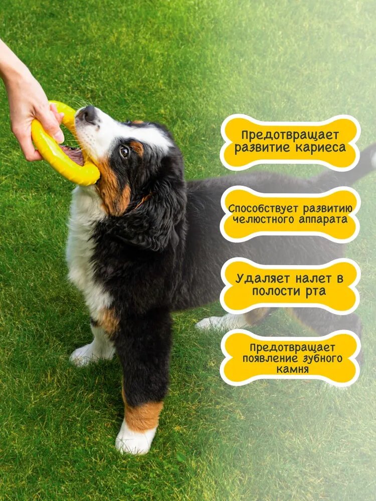 Fancy Pets игрушка "Кольцо" для собак (13 см.) - фото №4