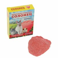 Мышильд Солонец Клубника витамины, 1 шт., 50 г