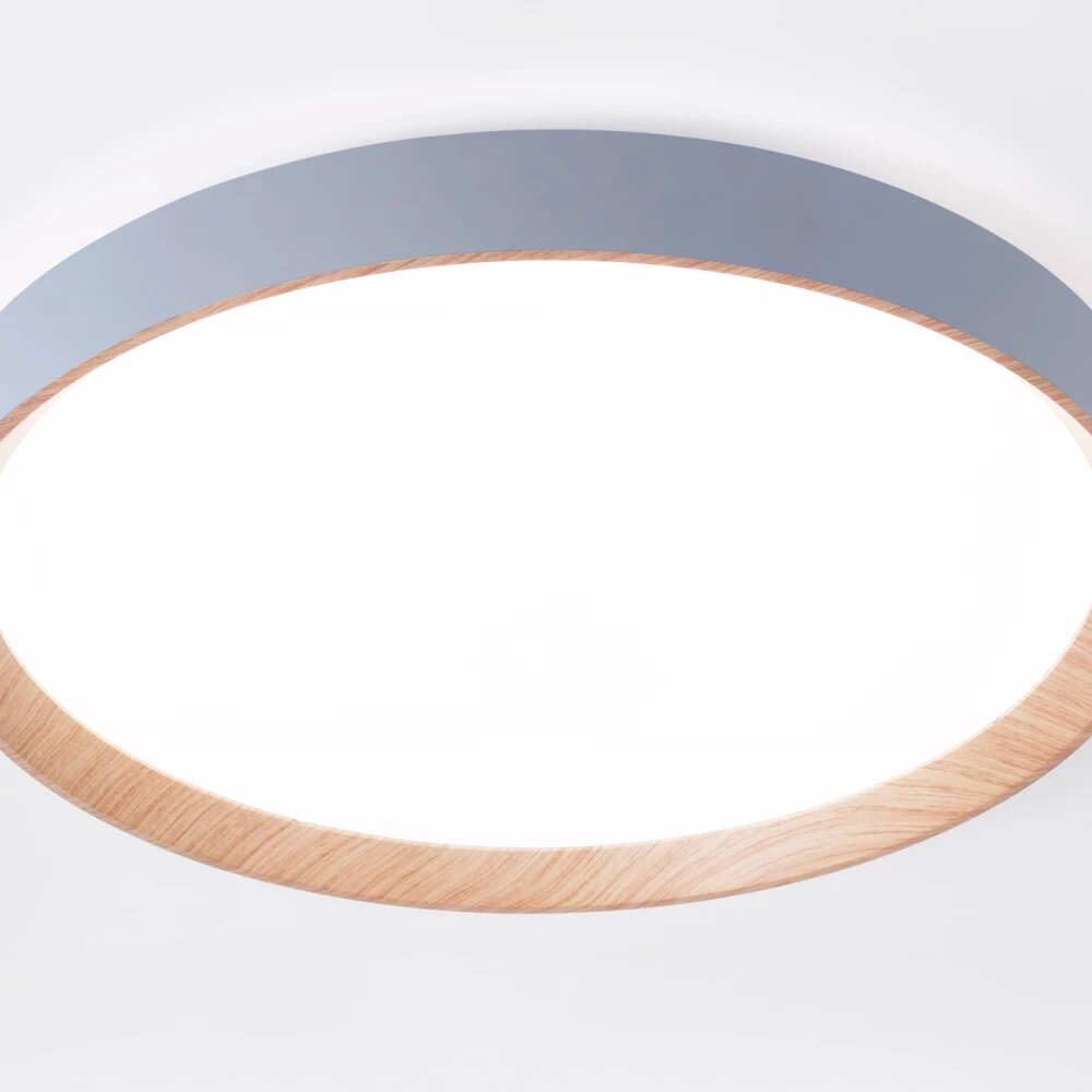 Ambrella Light Потолочный светильник Ambrella Light Design FZ1322